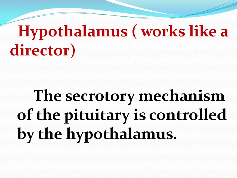 Hypothalamus ( works like a director)        The